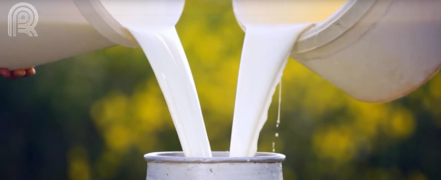 Preços pagos aos produtores de café e leite apresentam queda