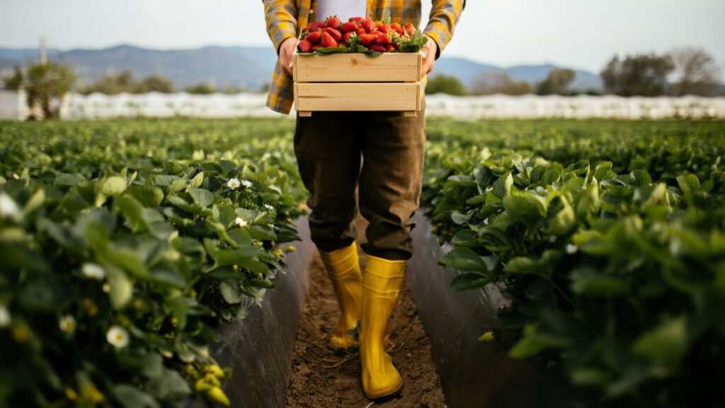 producao de alimentos confira a cobertura do broadcast sobre o assunto