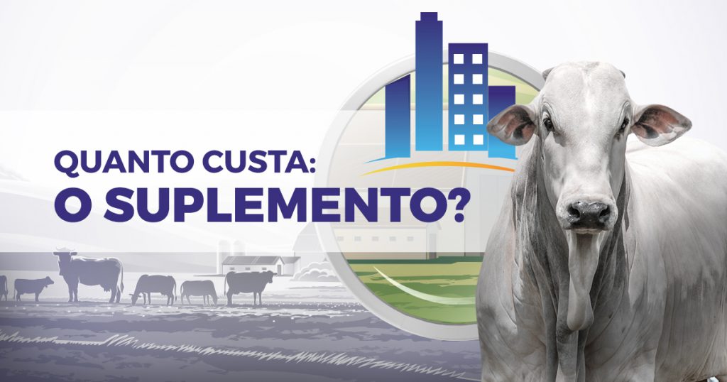 quanto custa o suplemento