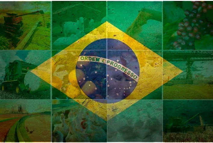 Rabobank: Novo governo deve seguir com velhos desafios 2 rabobank novo governo deve seguir com velhos desafios 1