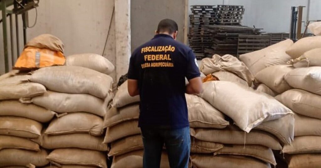 revista dbo pirataria de sementes preocupa portal dbo