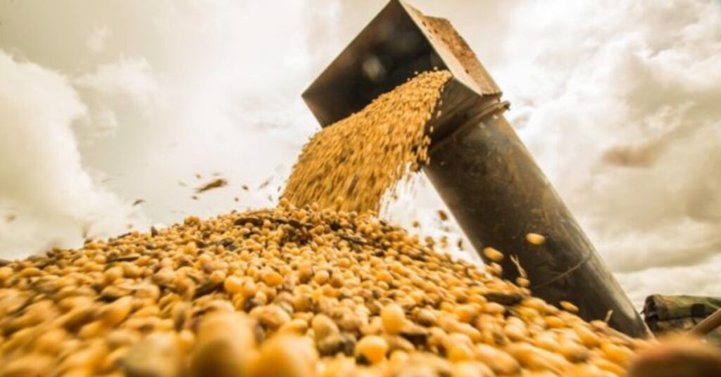 safra 2023 alcancara recorde de 2881 milhoes de toneladas revela ibge portal dbo