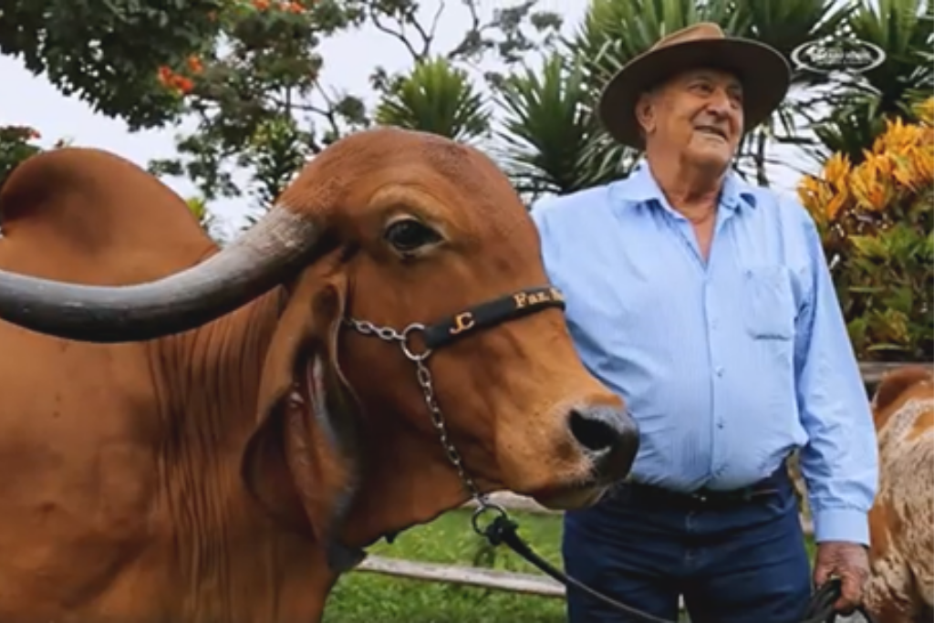 santa luzia marca 21 anos do leilao da raca girolando 1