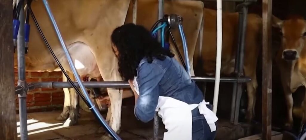 rafaela jacobs - guardiãs do leite - enfermeira