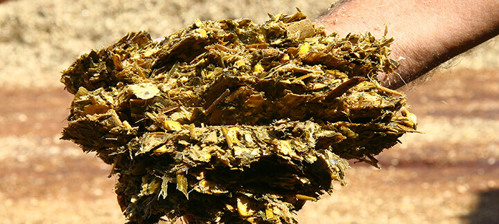 Silagem: atenção ao básico - Blog da Agroceres Multimix 3 Silagem: atenção ao básico – Blog da Agroceres Multimix