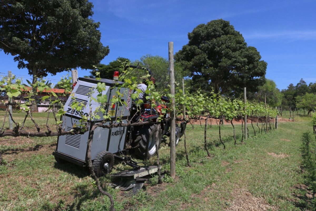 tecnologia limpa disponivel no brasil e aliada do produtor de organico