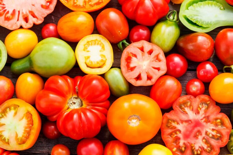 Veja o que vírus faz com que cultivo de tomate