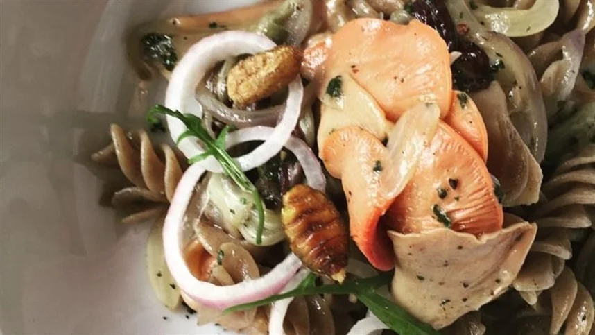 ue libera alimentos a base de insetos 1