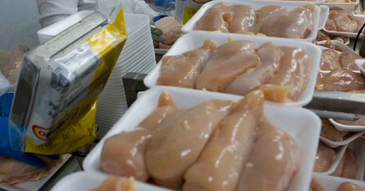 volume exportado renova recorde em 2022 e preco interno sobe portal dbo 3