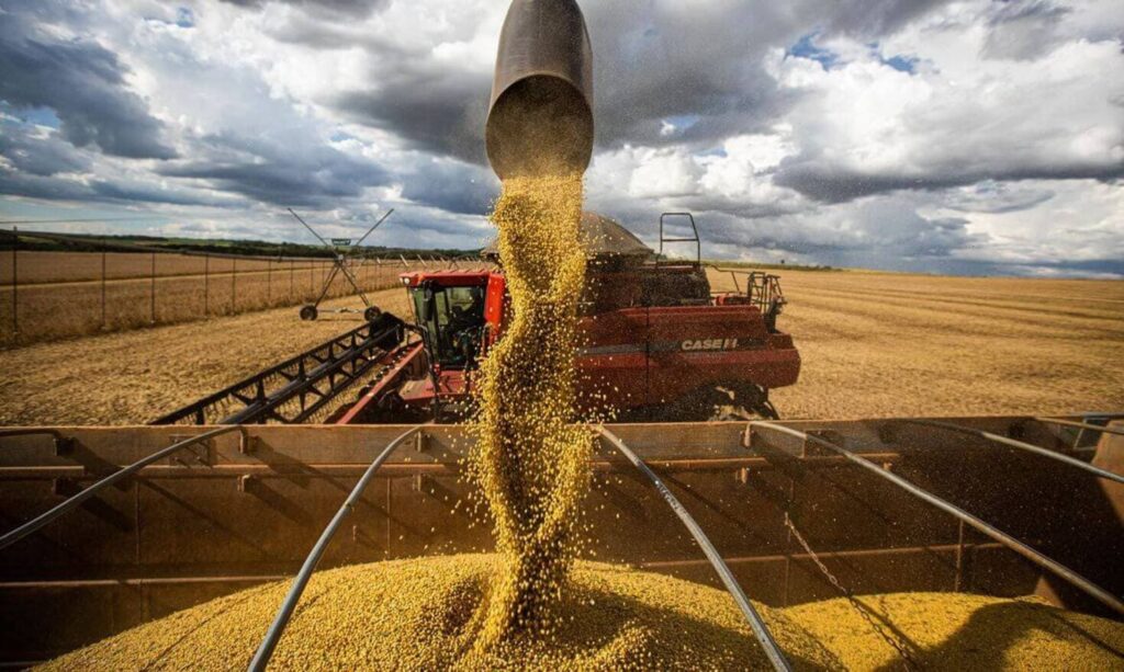 MT deve produzir 148,22 milhões de toneladas de grãos