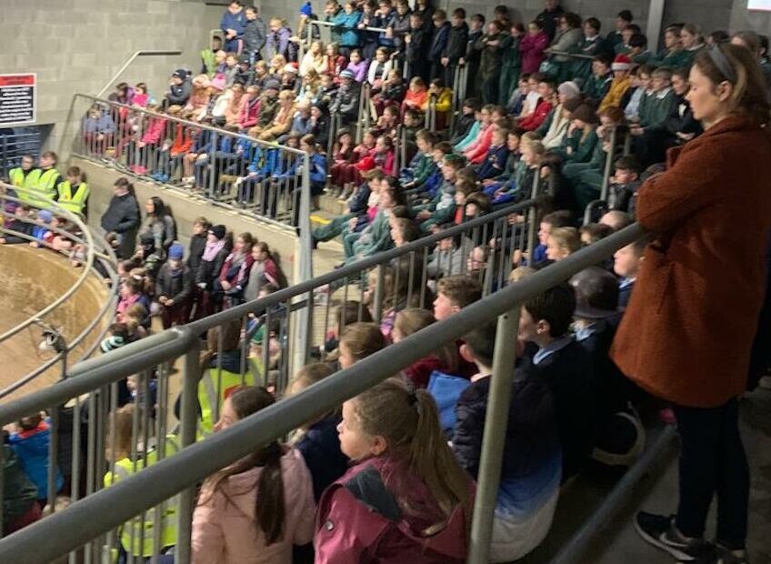 700 kids attend farm safety day at Carnew Mart