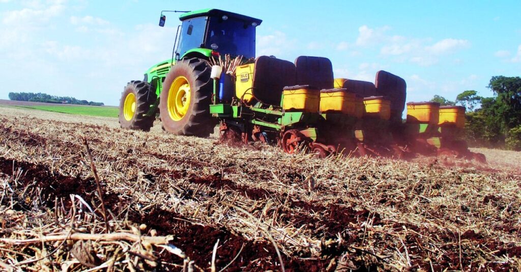 9880 da area de milho em mt pode ser semeada dentro da janela ideal diz imea portal dbo