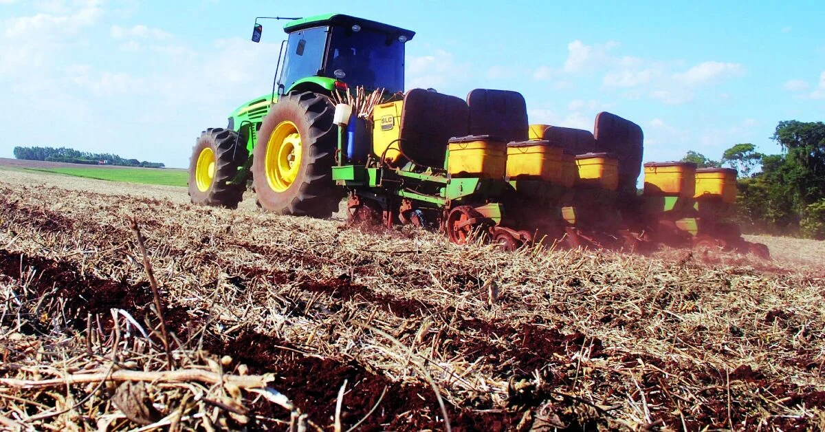 98,80% da área de milho em MT pode ser semeada dentro da janela ideal, diz Imea • Portal DBO