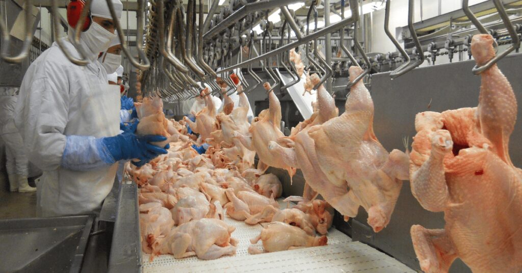 Perspectivas para o Agronegócio no Brasil em 2023