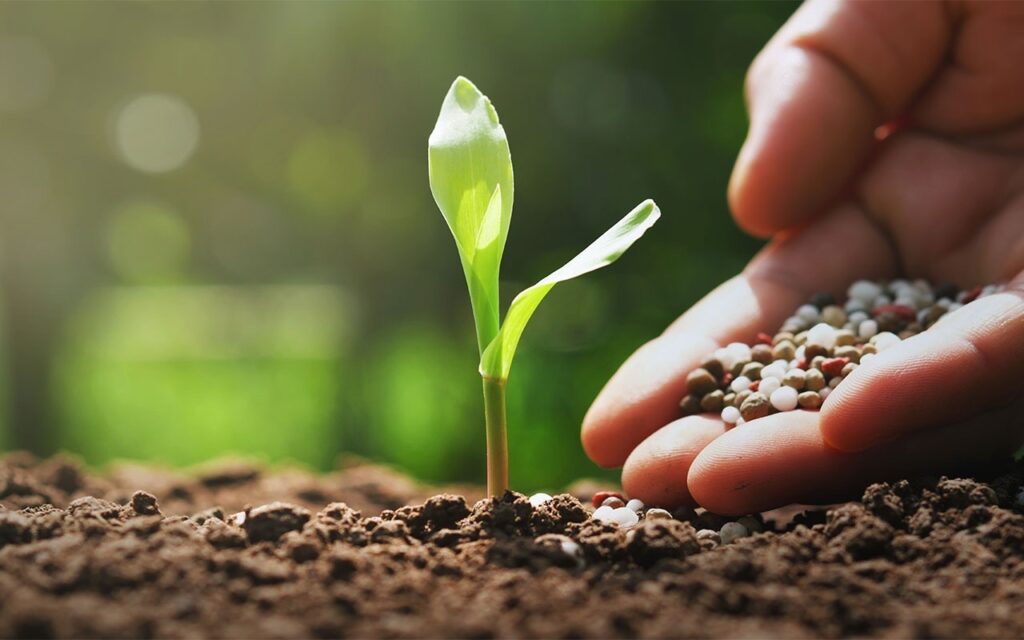 Conheça novo fertilizante com tecnologia restauradora