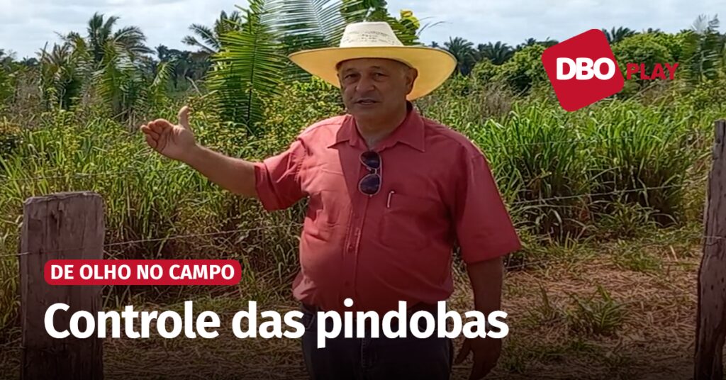 De Olho no Campo Saiba como controlar a presenca