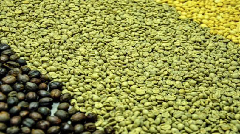 Exportacao de cafe do Brasil cresce 14 em novembro
