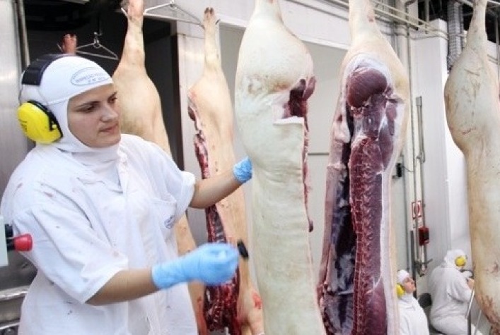 Exportacoes de carne suina comecam dezembro22 com desempenho melhor que