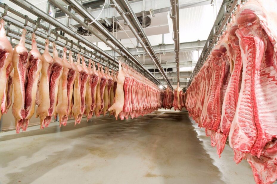Exportacoes de carne suina de novembro crescem 178 em relacao