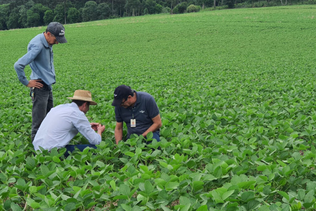 Giro Tecnico da Soja divulga boas praticas de cultivo a