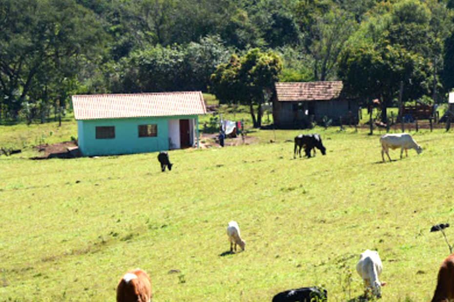 Inseguranca no campo preocupa os produtores rurais baianos • Portal