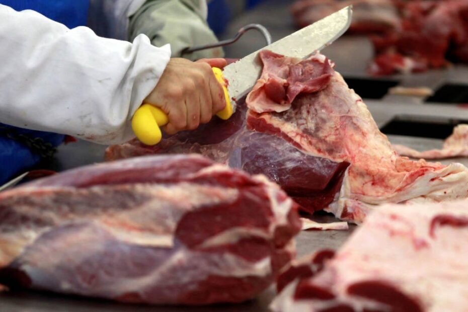 Frigoríficos de carne sofrem com a crise do gado