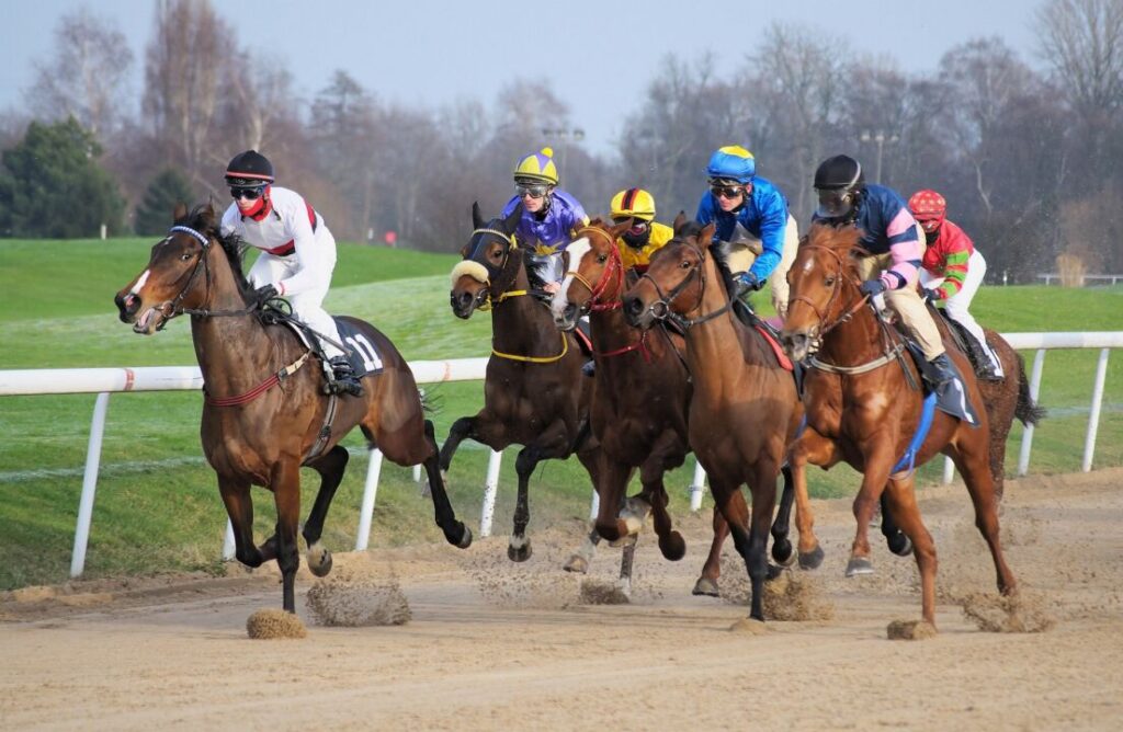 Ministerio da Agricultura Pecuaria e Abastecimento autoriza Jockeys Clubs a