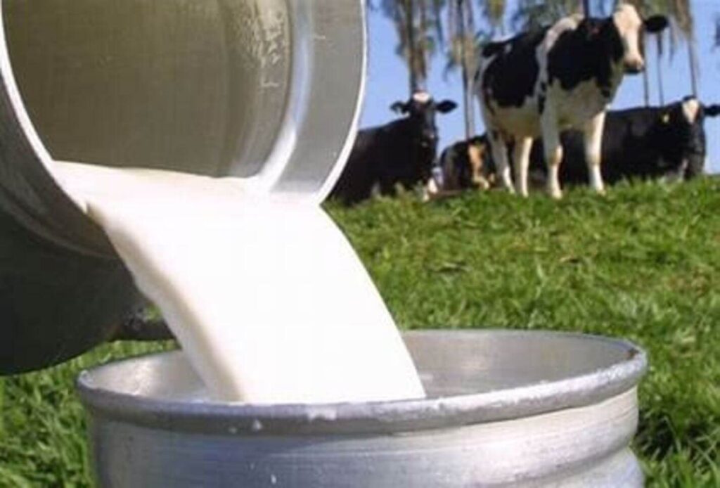 Pressão dos custos reduz e produtores de leite terminam ano em melhores condições no Paraná