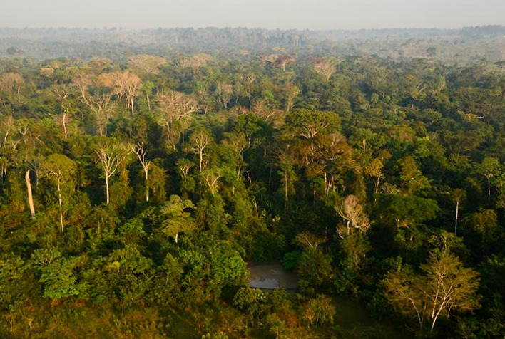 TNC lanca estudo sobre potencial de carbono na Amazonia e