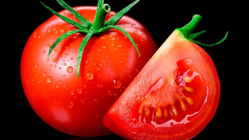 Transporte de tomate, como manter a qualidade?