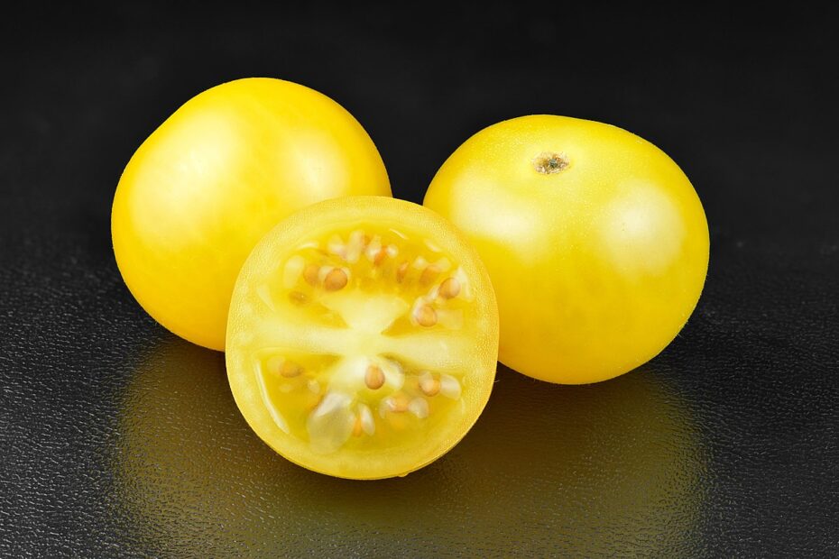 Depois do tomate roxo, agora é a vez do tomate amarelo