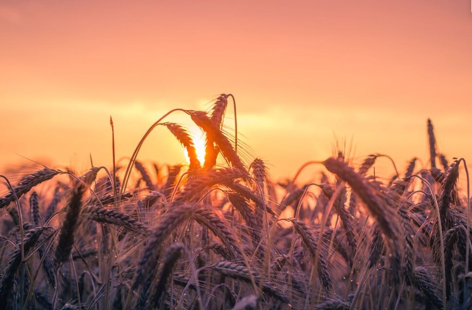 Ag-tech and sustainability trends forecast to accelerate in 2023