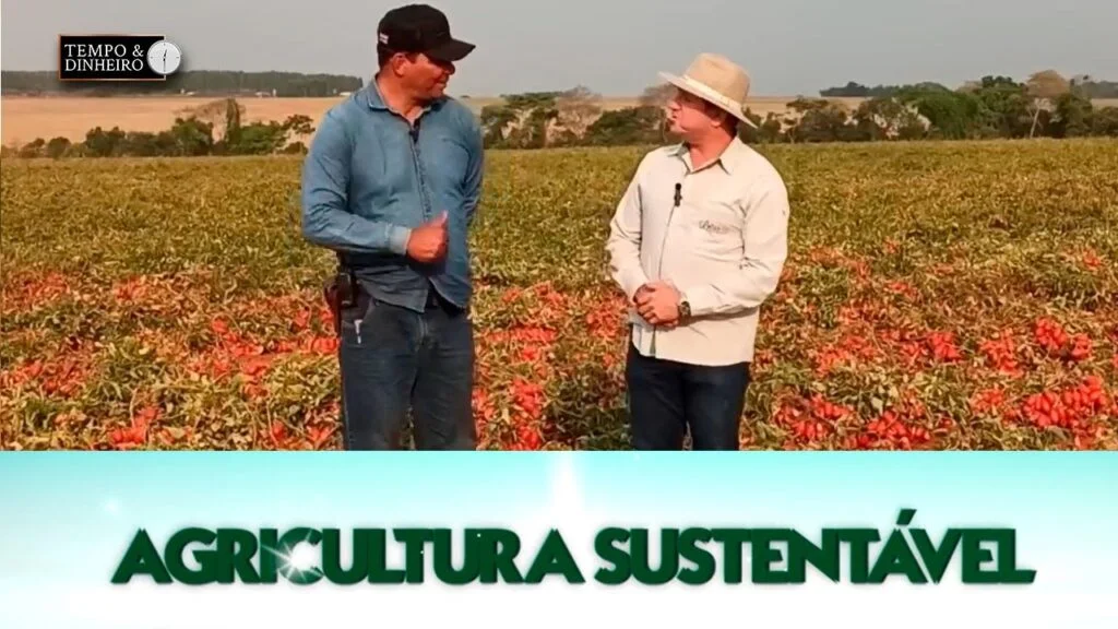 agricultura sustentavel com frederico olivi 1