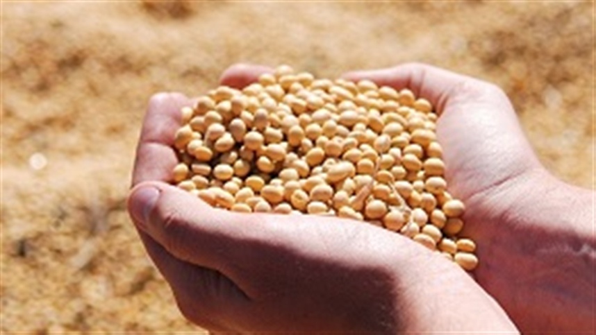agricultura sustentavel de soja para Itaqui e tema de encontro