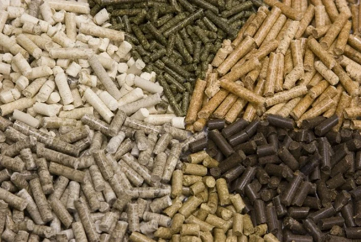 alimentos para animais crescer 1% em 22, a 81,8 milhões de t 3 alimentos para animais crescer 1 em 22 a 818 milhoes de t