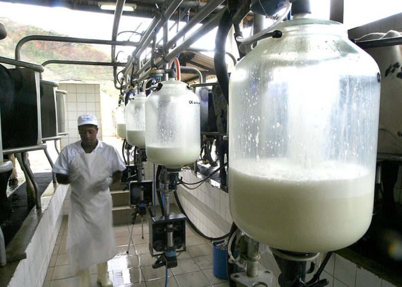 Produtores de leite terminam ano em melhores condições
