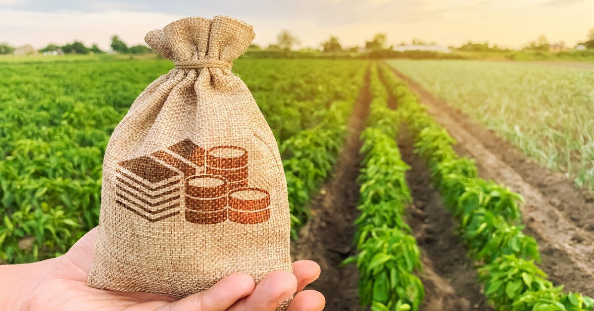 bndes anuncia a reabertura de contratacoes de credito para programas agropecuarios na safra 2022 23 portal dbo 3