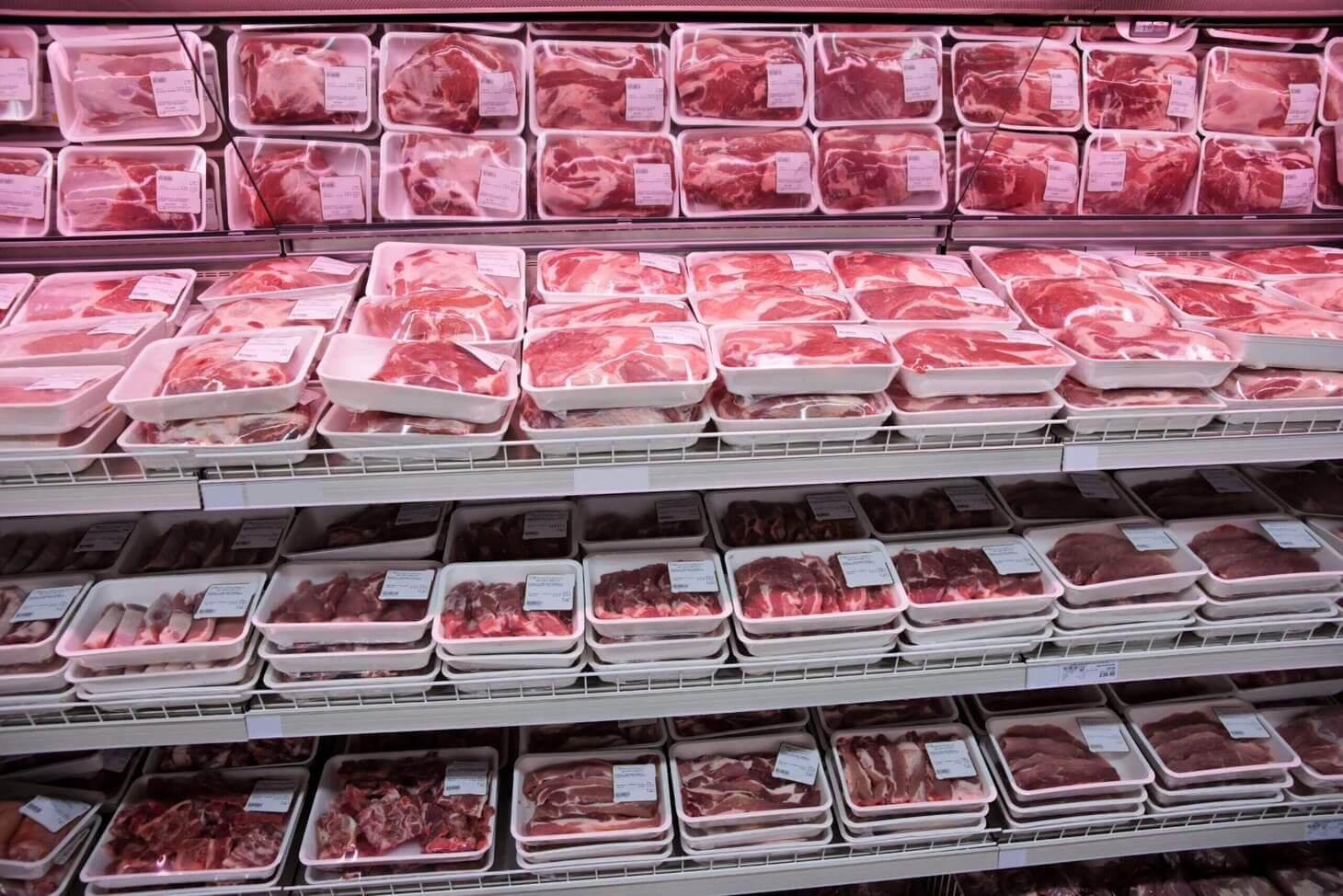 boas vendas de carne bovina aquecem o mercado brasileiro do boi gordo