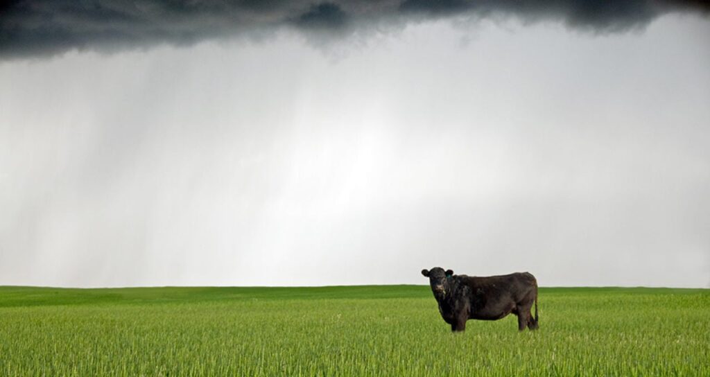 Confira as cotações de hoje