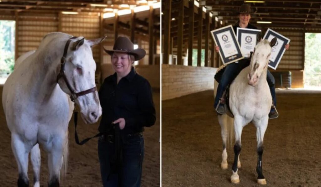 Cavalo cego bate três recordes mundiais