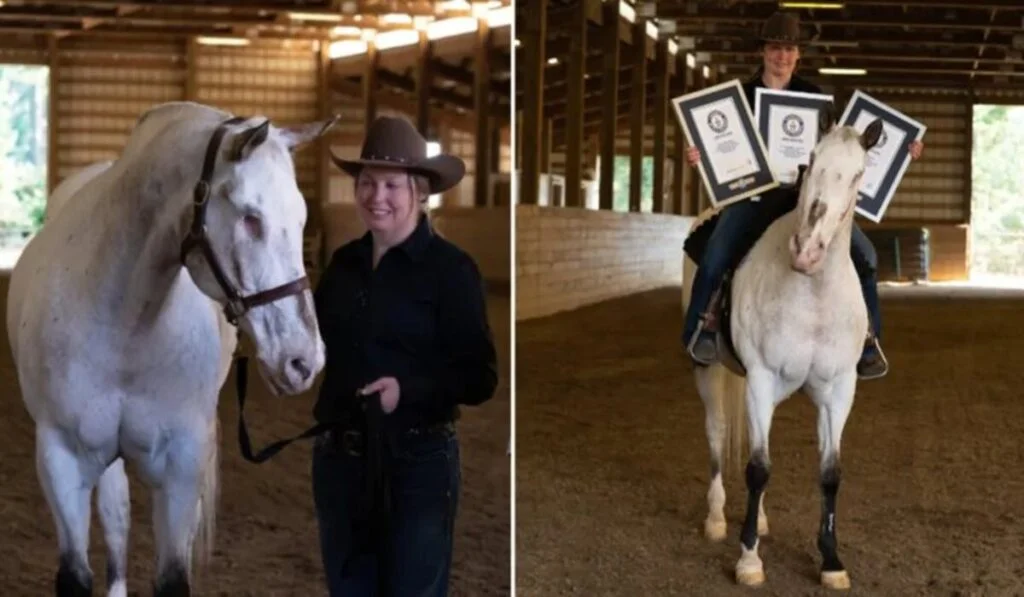 Cavalo cego bate três recordes mundiais