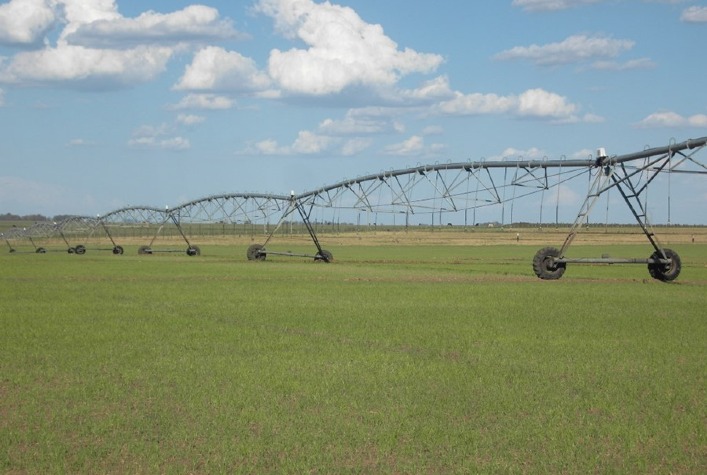Ciência desenvolve práticas que mitigam a emissão de gases de efeito estufa no cultivo de arroz irrigado 10 ciencia desenvolve praticas que mitigam a emissao de gases de efeito estufa no cultivo de arroz irrigado 1