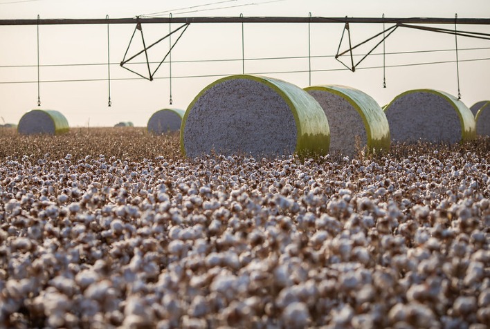 CNA faz balanço das ações do setor de grãos e fibras 7 cna faz balanco das acoes do setor de graos e fibras