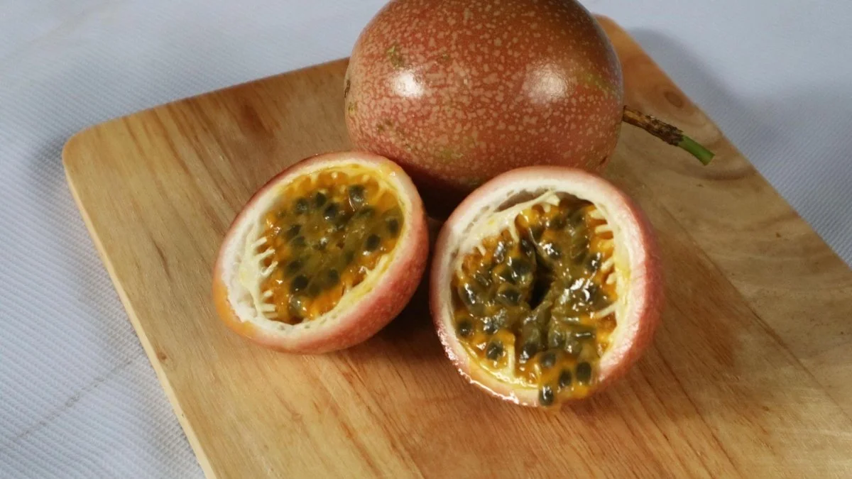 Como plantar maracujá e quais são os principais tipos de cultivo?