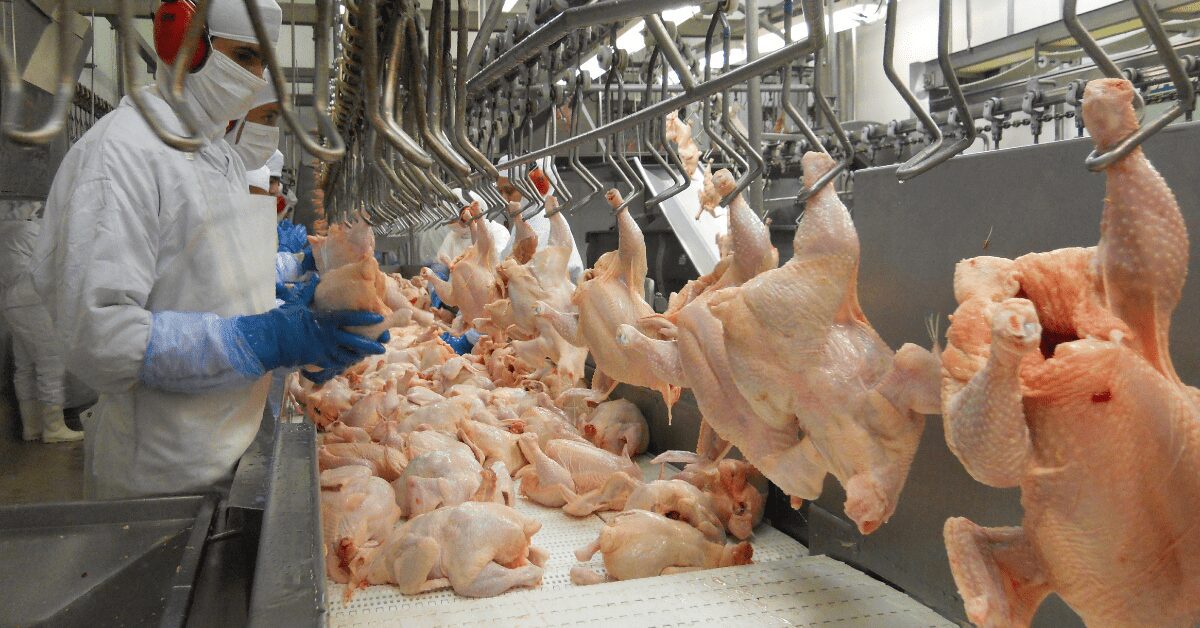 Perspectivas para o Agronegócio no Brasil em 2023