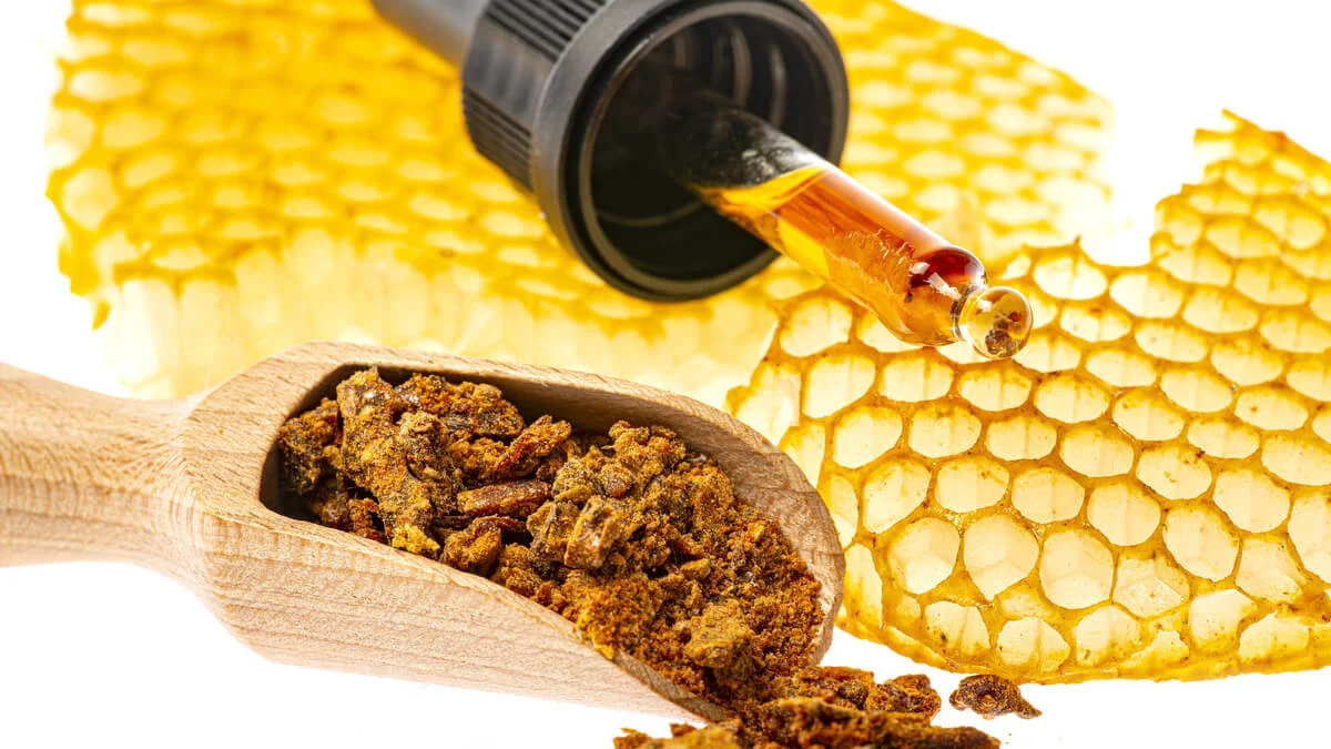 Conheça novas normas de comercialização de própolis 3 Conheça novas normas de comercialização de própolis