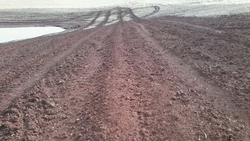 Culturas de cobertura estão em alta nos EUA 4 culturas de cobertura estao em alta nos eua 1