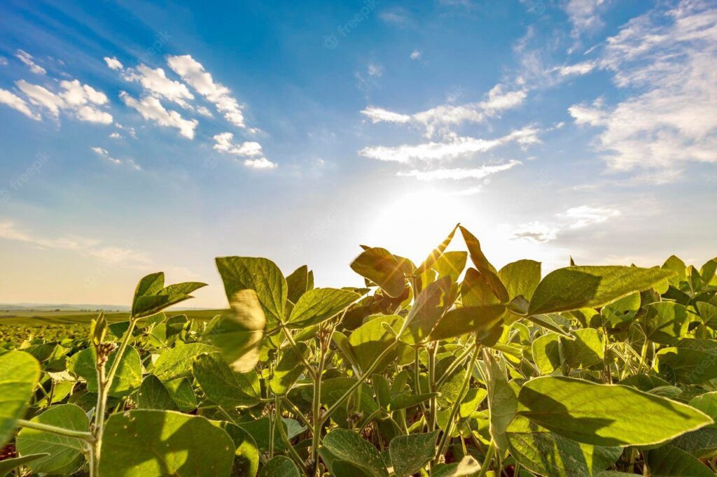 depois de dias de instabilidade sera que o sol volta a reinar no pr 3