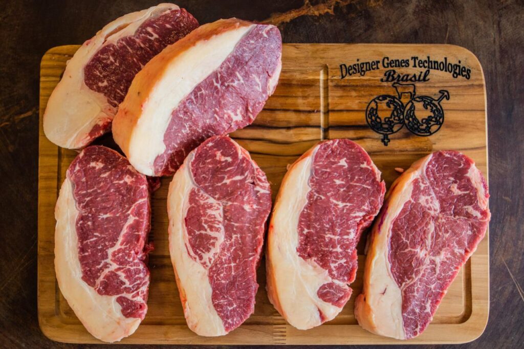 eles sao os 10 maiores produtores de carne bovina do mundo