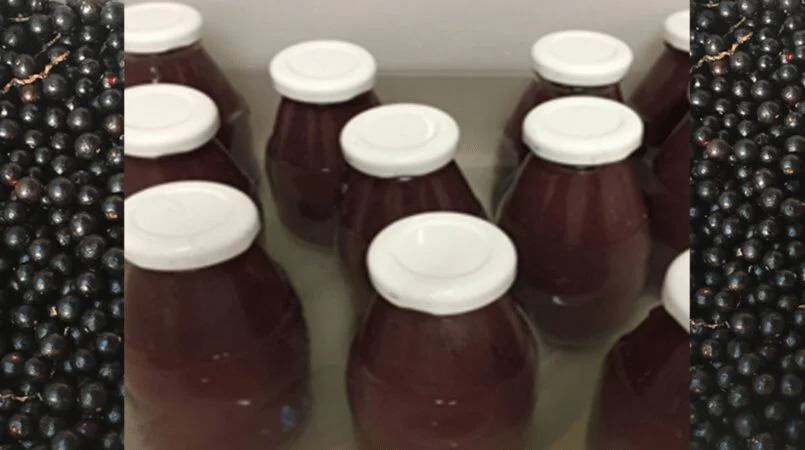 Embrapa desenvolve produtos com frutos da palmeira juçara, o açaí da Mata Atlântica 2 embrapa desenvolve produtos com frutos da palmeira jucara o acai da mata atlantica